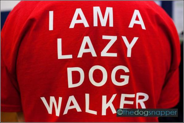 Lazy Dog Walker